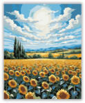 Napraforgó Könyvkiadó Mező a Kék Ég Alatt - számfestő készlet
