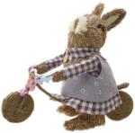 INART Iepuras cu Bicicleta 27 cm x 30 cm (3-70-691-0002)