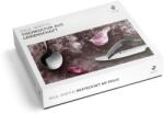 Paul Wirths BALI Set tacamuri inox 18/10 - 12 persoane (68 piese) (5000663) Tacam