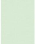 As Creation Tapet model tesatura in verde deschis