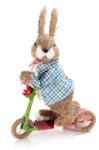 Decorer Figurina Iepuras Paste fibre naturale cu bicicleta Boy 25 cm x 12 cm x 35 h (A58.07.45B)