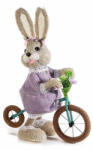 Decorer Figurina Iepuras Paste Girl cu bicicleta din fibre naturale 26x13x35 cm (A58.08.27B)
