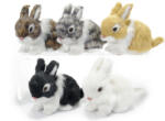 Decorer Set 5 figurine Iepurasi Paste 9.5x4.5x7 cm (A09.01.05)