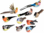 Decorer Set 10 Pasari decorative 14 cm (A82.00.81deco)