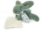 Doudou Iepuras Doudou - jucarie de plus cu paturica, 16 cm (DC4152/vernil)