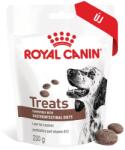 Royal Canin ROYAL CANIN® GASTROINTESTINAL jutalomfalatok 230g kutyatáp