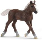 Schleich Schleich: Figurina mânz din Pădurea Neagră (13899) (SLH13899) Figurina