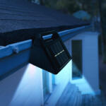 Garden of Eden 11443