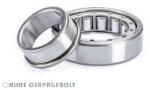 SKF NJ232 ECML/C3 SKF Csapágy (NJ232_ECML_C3SKF)