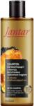 Farmona Natural Cosmetics Laboratory Jantar Детокс шампоан за мазна коса с кехлибар и активен въглен, 300 ml - ozone