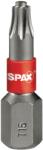 SPAX Bit T-Star plus T 15