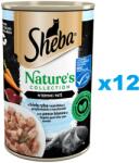Sheba konzervdoboz 12x400 g Nature's Collection nedves teljes értékű eledel felnőtt macskáknak fehér hallal és májjal, sárgarépa körettel terrine-ben