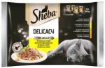 Sheba Delicacy Fine Flakes Baromfi ízek tasakok 4x85 g teljes értékű nedves eledel felnőtt macskáknak zselésített darabokban: kacsa, csirke, baromfi, pulyka