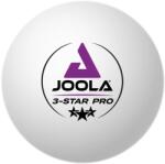 JOOLA Mingi tenis Joola 3-star Pro 40+ (12buc) (40055)