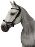 PRESTEQ Faysport Presteq lovas kantár COB fekete