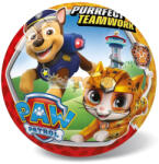 Star Gumilabda gyerekeknek Paw Patrol 23cm Catpack