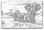  PontPöttyöző - Szavanna - Vándorlás az elefántokkal Méret: 40x60cm, Keretezés: Műanyagtáblával, Szín: Zöld