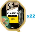 Sheba Classics 22x85g pate pentru pisici adulte, cu pasari de curte