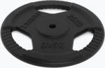 XTREXO Чугунена тежест xtrexo trx-icp025 25 кг хром