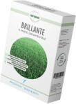Padana Sementi Seminte Gazon Padana BRILLANTE - 1 kg (PR-103803)