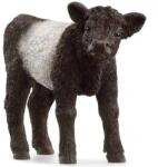 Schleich Schleich: Galloway borjú figura (13969) (SLH13969) - innotechshop
