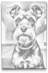 PontPöttyöző - Schnauzer Méret: 40x60cm, Keretezés: Kartonlemezen, Szín: Kék