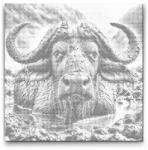  PontPöttyöző - Vízibivaly Méret: 50x50cm, Keretezés: Keret nélkül (csak a vászon), Szín: Fekete