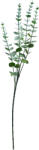 Clayre & Eef Set 3 crengute Eucalipt artificial verde 15x7x69 cm (5PL0062)