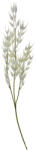 Clayre & Eef Set 3 flori artificiale albe 15x2x72 cm (5PL0060)