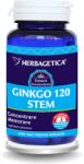 GNC Ginkgo 120 stem, 60 capsule