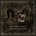 Jethro Tull - Curious Ruminant (Hardcover) (Limited Edition) (Deluxe Edition) (2 CD + Blu-ray) (0198028618724)