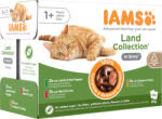 Iams Advanced Nutrition macska tasak MP Land in gravy szószban 12x85g