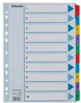 Esselte Index carton Esselte Mylar cu taste laminate A4 index 1-10 (ESS100161)
