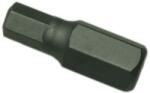 Genius Tools GENIUS Imbusz bit, 10-es, 30mm (2H3010)