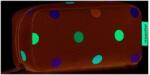 Reisenthel MultiCase Dots Penar