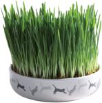 TRIXIE Bol Ceramic Cu Seminte De Orz Pentru Iarba Pisicii, 50g