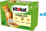 Kitekat Set mancare umeda pisici adulte, pui, curcan si pasare in aspic 48x85 g