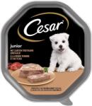 Cesar Junior pate pentru pui de catel 150 g curcan si vitel