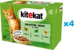 Kitekat Delicate Flavours Pachet plicuri pentru pisica, curcan, iepure, pasare in sos 48x85 g