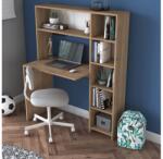 ASIR GROUP Munkaasztal polccal RANI 113, 2x141, 8 cm barna 893RAN2706 (AS1746)