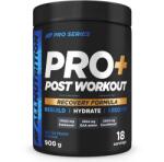 ALLNUTRITION Pro+ Post Workout Pro Series 900g