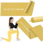4FIZJO Bandă de reabilitare FLAT BAND 25-35 kg (7/7)
