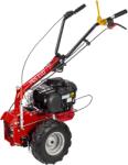 Eurosystems P55 EVO Biggs 675 (986300000)