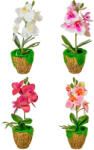 Medvés Cserepes mű Orchidea 27 cm (Mk588036)