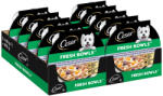 Cesar 10x85g Cesar Fresh Bowls kacsa szószban nedves kutyatáp