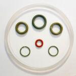 Necta Kit revizie boiler Necta 300cc