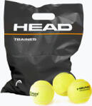 HEAD Trainer teniszlabda 72 db zöld 578230