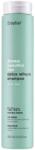 Erayba Sampon detoxifiant ABH Detox Refresh 250ml, Erayba