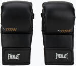 Everlast Mănuși de grappling Everlast Titan Hybrid black