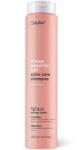 Erayba Sampon hranitor pentru par vopsit ABH Color Care, 250ml, Erayba